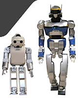 The Second Humanoid Robot In France