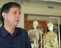 2-million-year-old fossils reveal hearing abilities of early humans