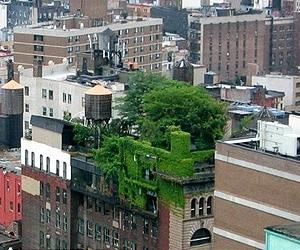 New software tool helps evaluate natural cooling options for buildings
