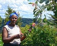 From hotbed of crime to joggers' paradise: Nairobi forest thrives