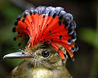 China Oil Refinery Threatens Costa Rica Environment