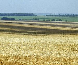 Crop Failures Set To Increase Under Climate Change
