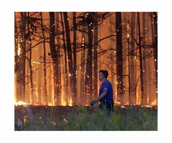 Putin vows funds boost to protect Russian forests from fires