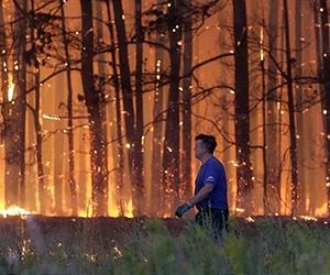Scientists Find New Way to Measure Economic Impact of Forest Fires