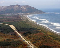 Oil spill in Russian Far East kills hundreds of birds: reports