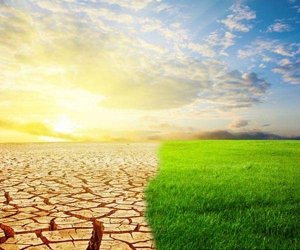 Crisis a chance to green Lebanon: environment minister