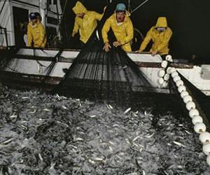 No sea change for European fishing