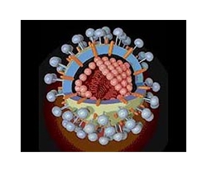 First proof of patient-to-nurse infection of coronavirus: WHO