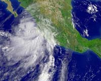 Mexico prepares for more swine flu as cases rise in Chiapas