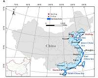Satellite image data reveals rapid decline of China's intertidal wetlands