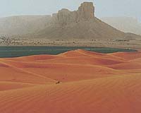 Degradation Of Arabia Costs Five Percent Of Economy