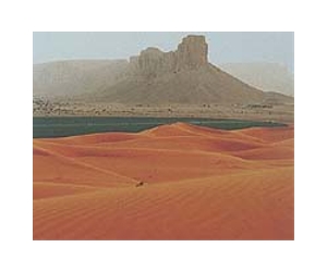 Arabia saw first humans out of Africa