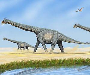 Plant-eating dinosaur discovered in Antarctica