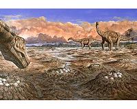 Testing ideas about the evolution of long-necked sauropod dinosaurs