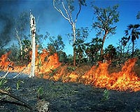 Australian wildfire danger looms for months: officials