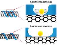 SMART discovers breakthrough way to look at the surface of nanoparticles