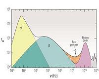 Secondary relaxation in metallic glasses key glassy physics