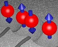 Shielded quantum bits