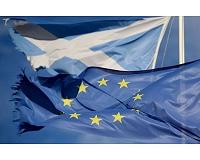 Scottish Conservative leader hopes to rein in independence