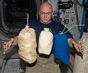 Busy Day For ISS Commander