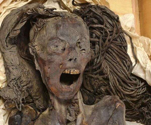 Analysis reveals agonizing death of 'Screaming Woman' Mummy