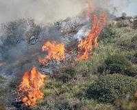 Wildland fire emissions worse in polluted areas