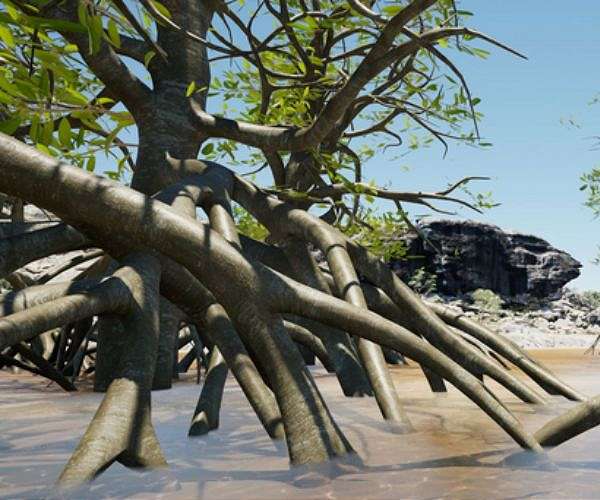 Benin enlists voodoo to protect its precious mangroves