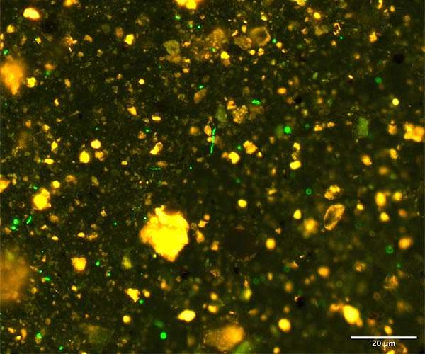 Efforts to find ET gains momentum with new technique that detects microbial movement