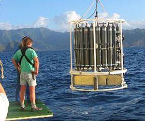 Unusual Symbiosis Discovered in Marine Microorganisms