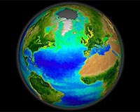 Putting Plankton In Perspective