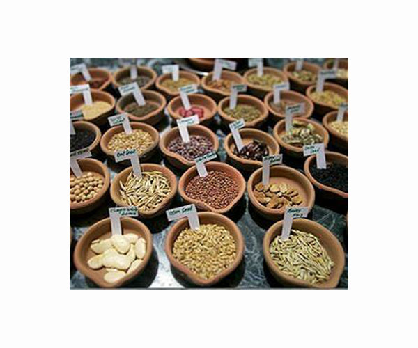 Without animals to disperse seeds, some plants may not survive climate change