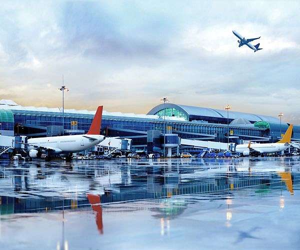 Eight climate activists arrested at UK airport