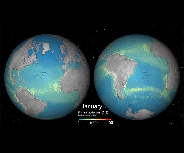 New standards needed to manage marine carbon removal efforts
