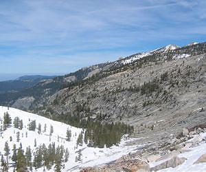 Study Examines Forest Vulnerability to Climate Change
