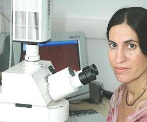 Research Shows How Bacteria Communicate With Each Other