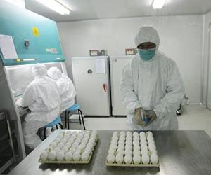 Bulgarian minister resigns over swine flu vaccines