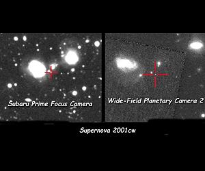 Searching For Dark Energy With The Whole World's Supernova Dataset