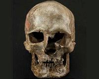 DNA evidence uncovers major upheaval in Europe near end of last Ice Age