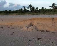 Residents return to storm-ravaged Florida Keys