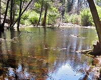 Small ponds produce an outsized share of greenhouse gases