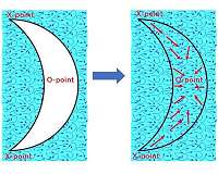 The first experimental discovery in the world of the propagation of plasma turbulence