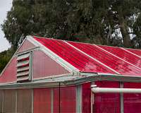 Solar greenhouses generate electricity and grow healthy crops