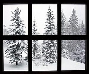 New eco-friendly foliar spray provides natural anti-freeze