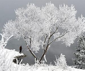 Vicious cold snap puts northern US in deep freeze