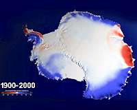 Snow over Antarctica buffered sea level rise during last century