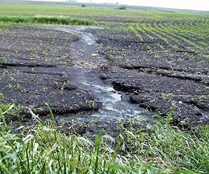 Even Soil Feels The Heat