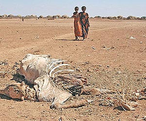 US offers $14.5 million for Somalia food aid