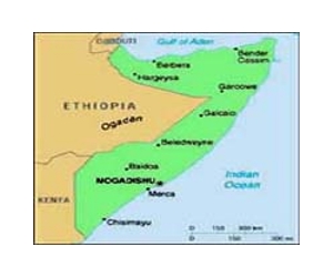 UN says most Somalia food aid reaching those in need
