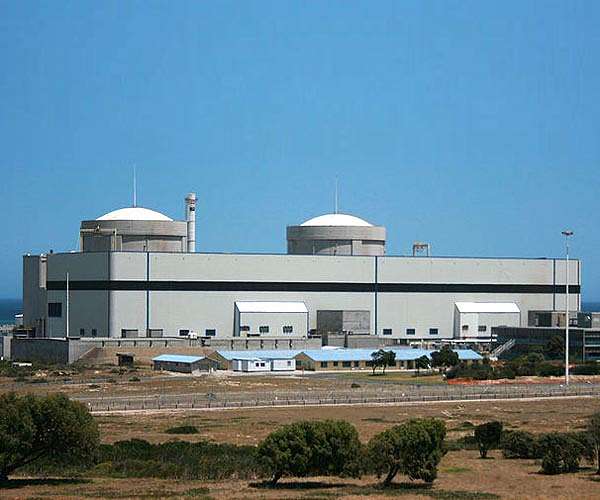 South Africa to build new nuclear plants: govt