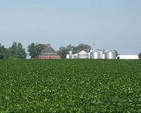 Biofuel crops replace grasslands nationwide